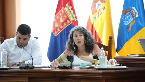 Ariagona González este viernes en el pleno del Cabildo