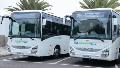 Imagen de dos guaguas pertenecientes al servicio que presta el Cabildo.