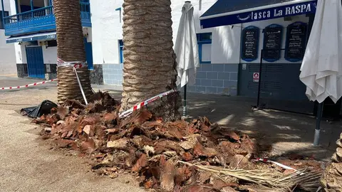 Así quedaron los restos de poda.