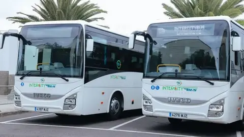 Imagen de las guaguas que prestan su servicio en Lanzarote. 