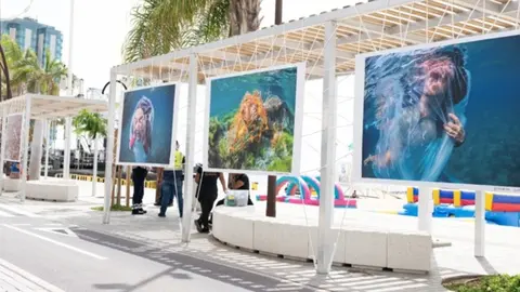 Imagen de alguna de las impactantes fotografías de la exposición.