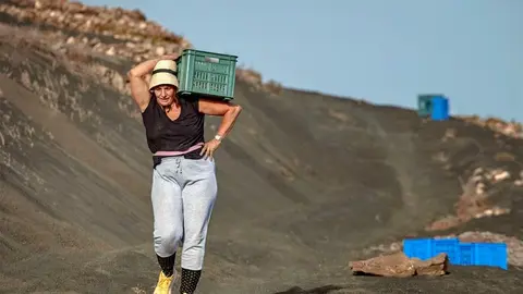 Laura Fábregas recogiendo la uva para la Bodega Cohombrillo.