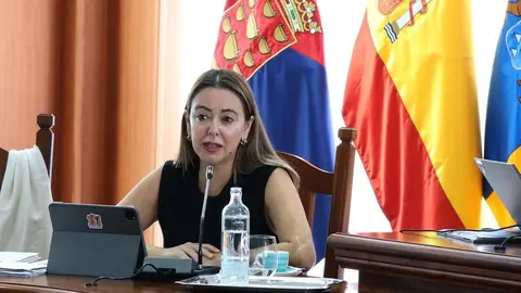 María Dolores Corujo en un pleno del Cabildo de Lanzarote