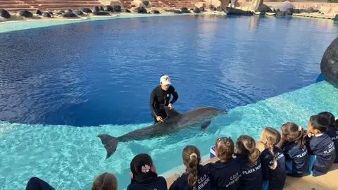 Un grupo de niños en el delfinario del Rancho Lanzarote Texas Park.