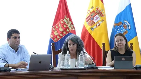 Ariagona González, María Dolores Corujo y Benjamin Perdomo en el pleno del Cabildo.