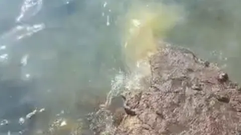 Imagen captada por el Ayuntamiento de Arrecife este martes. 