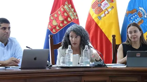 Benjamín Perdomo, Ariagona González y María Dolores Corujo en un pleno del Cabildo.