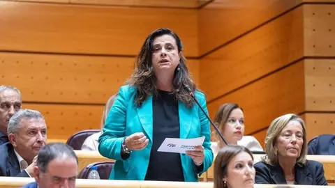 Imagen de la representante del PP preguntando al Gobierno.