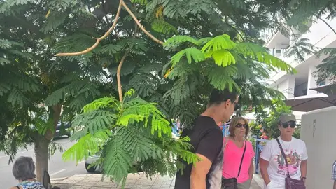 Imagen de la calle Juan Carlos I por donde no se puede circular por la acera