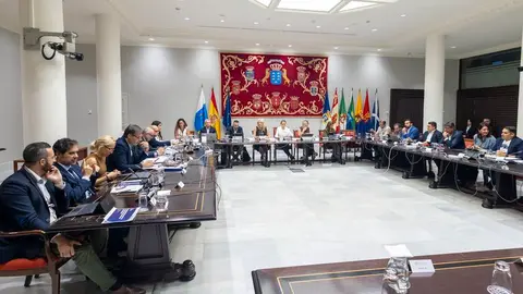 Imagen del encuentro de la Comisión de Sanidad en el Parlamento de Canarias.
