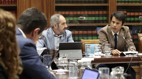 Marcos Bergaz (PSOE) en comisión parlamentaria de vivienda.