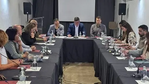 Imagen del pleno celebrado este miércoles en San Bartolomé.