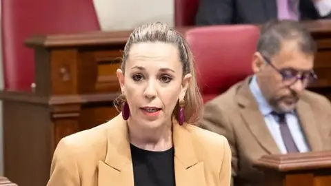 La consejera de Turismo en una imagen de archivo durante una intervención en el Parlamento de Canarias. 