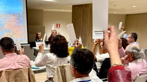 Imagen de una de las votaciones del encuentro
