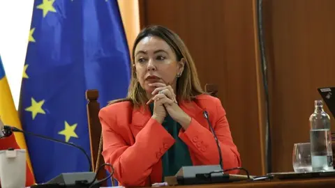 Mar&iacute;a Dolores Corujo en un pleno del Cabildo