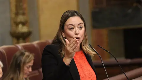 Mar&iacute;a Dolores Corujo en el Congreso de los Diputados