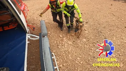 Componentes de EMERLAN durante una actuaci&oacute;n.