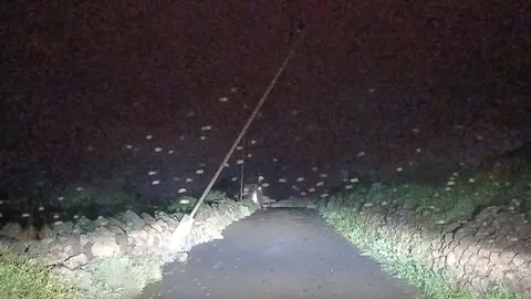 Imagen de un poste de la luz arrancado por el viento en una carretera de Teguise esta madrugada.