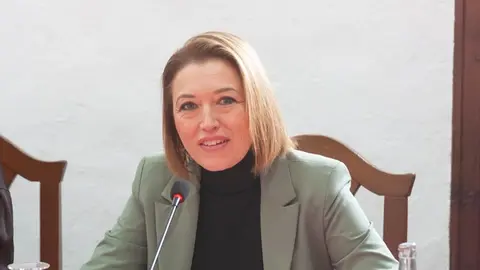 Sabina Vizcaino (PSOE) en pleno de Teguise y La Graciosa.