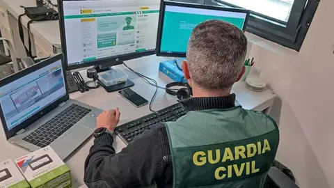 Imagen de un guardia civil investigando delitos inform&aacute;ticos.
