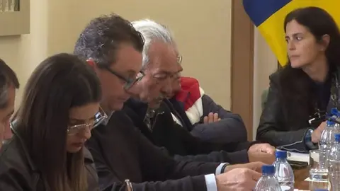 Imagen de un pleno celebrado recientemente en Har&iacute;a. 