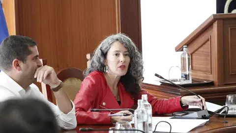 Ariagona Gonz&aacute;lez en una intervenci&oacute;n en un pleno del Cabildo de Lanzarote.