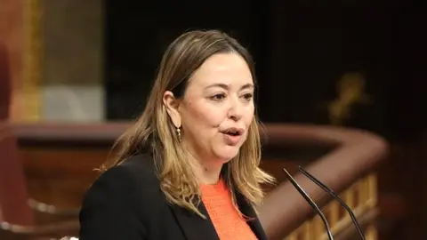 Mar&iacute;a Dolores Corujo en el Congreso de los Diputados.