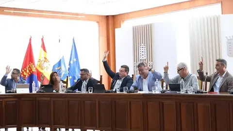 Echedey Eugenio votando en la Asamblea del Consorcio del agua junto al resto de representantes de los ayuntamientos.