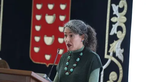 Ariagona Gonz&aacute;lez en el pleno del Cabildo.