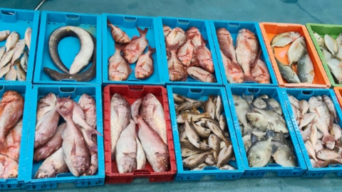 Pesca ilegal confiscada en La Graciosa.