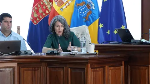 Ariagona Gonz&aacute;lez junto a Benjamin Perdomo en el Pleno del Cabildo.