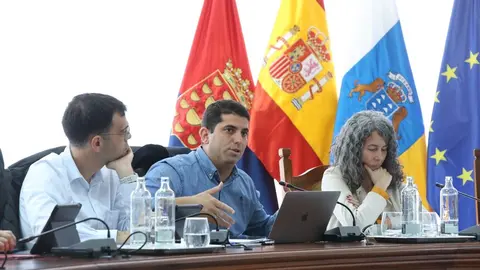 Benjamin Perdomo en el Pleno del Cabildo