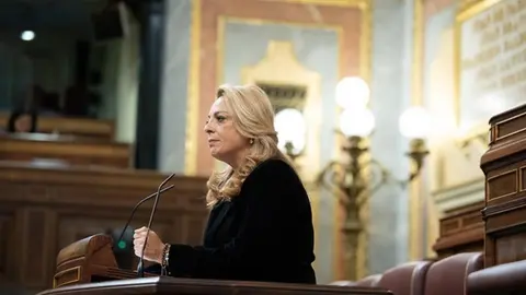 Cristina Valido en el Congreso de los Diputados.