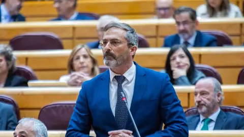 Pedro San Gin&eacute;s durante su intervenci&oacute;n en el Senado de este martes