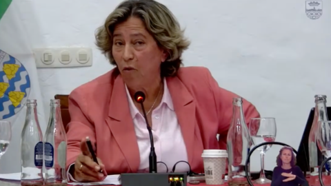 Rita Hern&aacute;ndez durante el pleno del Ayuntamiento de Teguise.