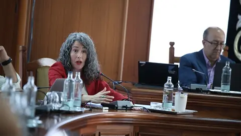 Ariagona Gonz&aacute;lez en el Pleno del Cabildo.