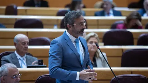Pedro San Gin&eacute;s durante su intervenci&oacute;n.