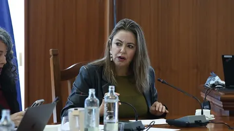 Mar&iacute;a Dolores Corujo en el centro de la imagen en un pleno del Cabildo junto a su compa&ntilde;era Ariagona Gonz&aacute;lez.