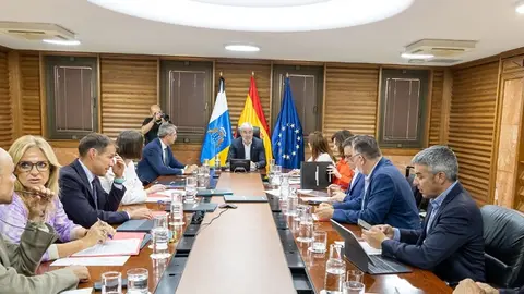 Imagen del encuentro del Consejo de Gobierno de Canarias de este lunes.