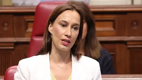 Nira Fierro en el Parlamento de Canarias.