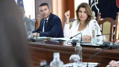 Presidente y vicepresidenta en el pleno extraordinario de julio.
