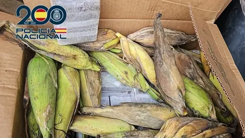 Droga incautada por la Polic&iacute;a Nacional.
