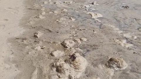 Presencia de los restos fecales este pasado fin de semana donde Sanidad tom&oacute; muestras en la Punta del Camello, junto al aliviadero del Consorcio del Agua de Lanzarote.