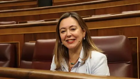 Mar&iacute;a Dolores Corujo en su esca&ntilde;o del Congreso de los Diputados.