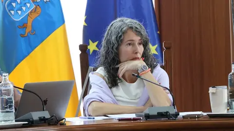 Ariagona Gonz&aacute;lez en el pleno del Cabildo de Lanzarote.