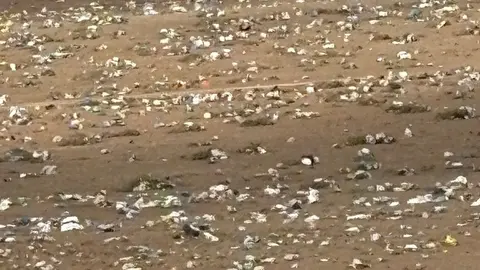 Bolsas en la zona de Zonzamas.