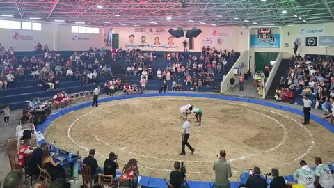 Los luchadores que dieron positivo en Tinajo y Antigua no deberían competir pero los equipos se rebelan con el reglamento