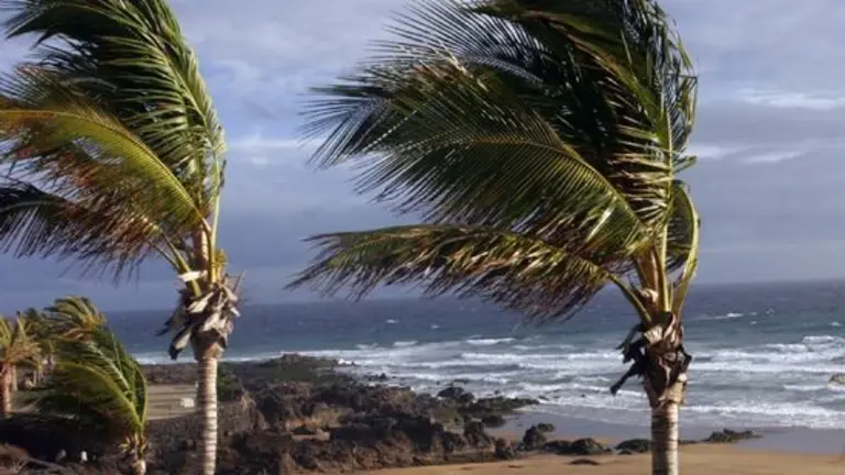 Alerta por fen&oacute;menos costeros en Canarias.