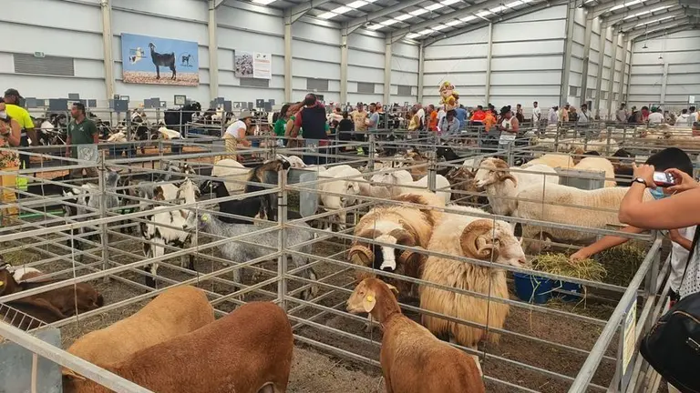 Imagen de archivo de de Feaga.