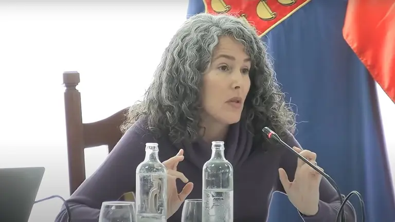 Ariagona Gonz&aacute;lez en el pleno del Cabildo de Lanzarote.